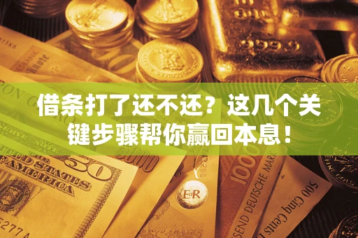 武汉借条打了还不还？这几个关键步骤帮你赢回本息！