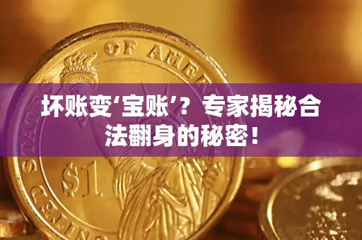 武汉坏账变‘宝账’？专家揭秘合法翻身的秘密！