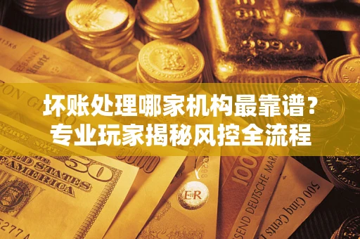 武汉坏账处理哪家机构最靠谱？专业玩家揭秘风控全流程