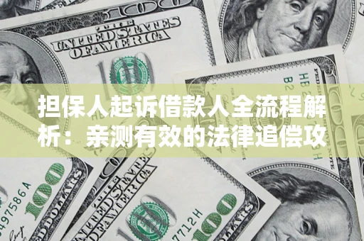 武汉担保人起诉借款人全流程解析：亲测有效的法律追偿攻略
