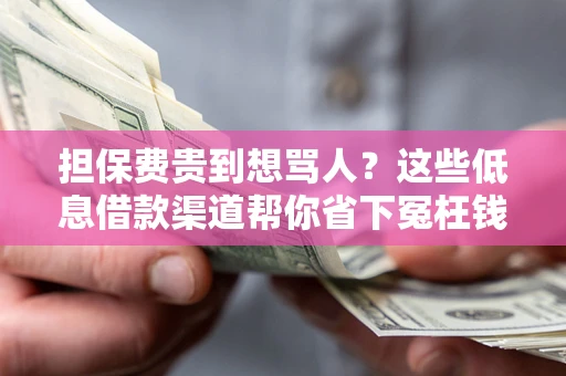 武汉担保费贵到想骂人？这些低息借款渠道帮你省下冤枉钱
