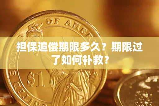 武汉担保追偿期限多久？期限过了如何补救？