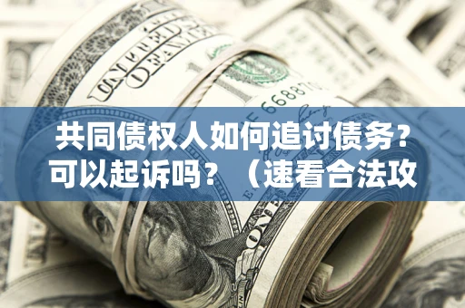 武汉共同债权人如何追讨债务？可以起诉吗？（速看合法攻略）