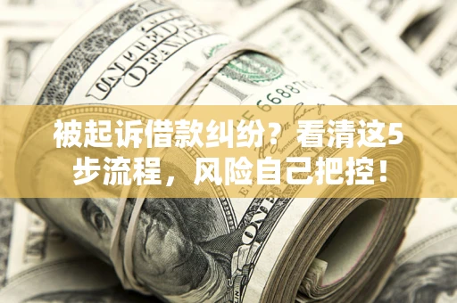 武汉被起诉借款纠纷？看清这5步流程，风险自己把控！