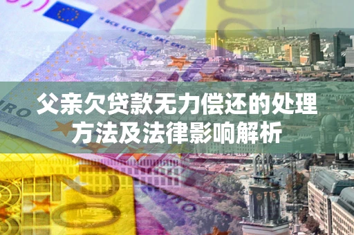 武汉父亲欠贷款无力偿还的处理方法及法律影响解析