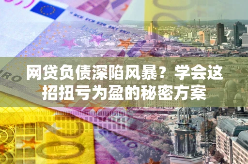 武汉网贷负债深陷风暴？学会这招扭亏为盈的秘密方案
