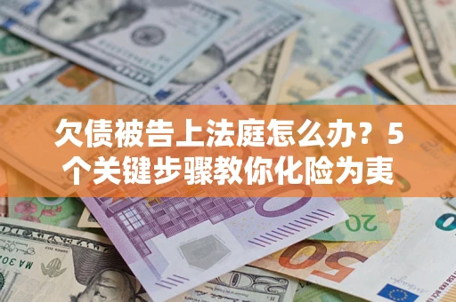 武汉欠债被告上法庭怎么办？5个关键步骤教你化险为夷